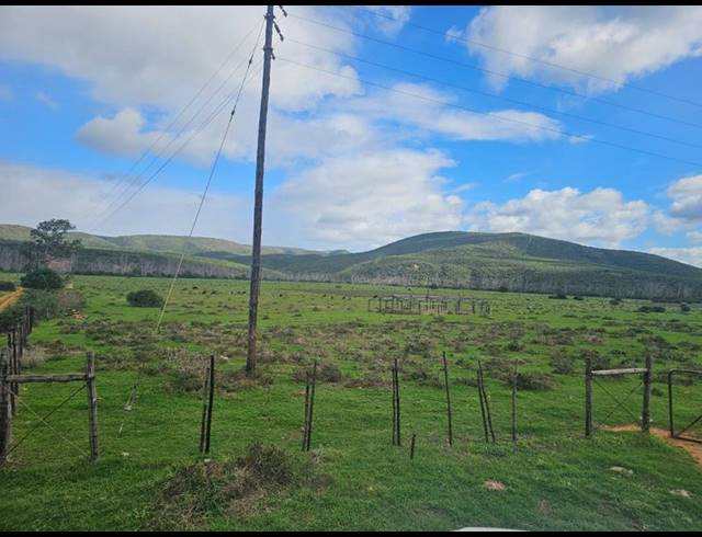 FARM FOR SALE IN UITENHAGE